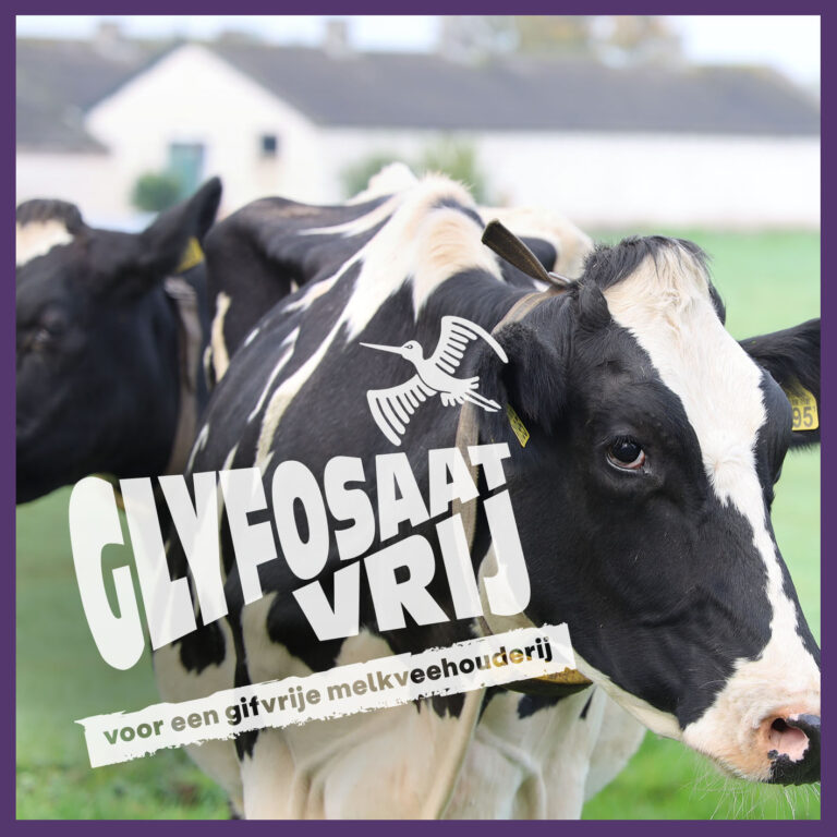 Het gif van glyfosaat zit overal, en de melkveehouderij kan echt zonder
