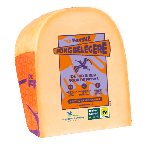 Jong belegere Fryske