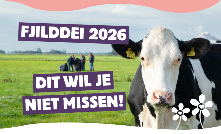 Fjilddei 2026: zet samen met ons de bloemetjes buiten!
