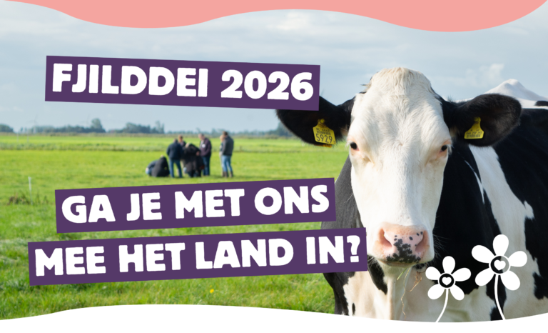 Fjilddei 2026: zet samen met ons de bloemetjes buiten!